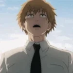 CSM: Denji tadaan (copy)