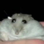 audiomass output - Sound