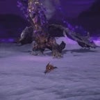 adel, baron of night