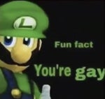 gay luigi