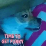 dogxfart funk