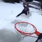 Loud-0-meter vineboom