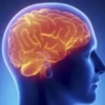 long brain fart sped up