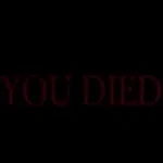 Dark Souls You Died