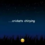 crickets-sound-effect_2U1KzbW