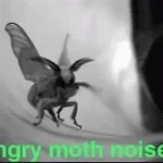 Disgusting bug noises