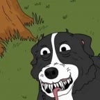 mr pickles dearboy command