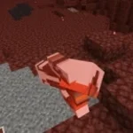 Recording 04/21/26 18:26:47