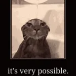 Turbobuchen möglich