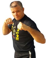 Ip Man Theme Song of