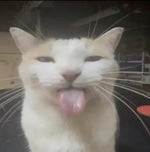 lore accurate hakari's theme