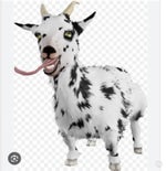 coconut mall bass boosted