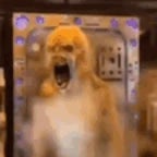 Edd losing his goddamn mind