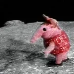 proper important one