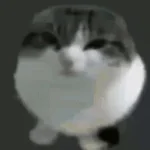 Montagem Miau (Slowed)