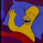 Homer Sleeping