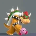 So long gay bowser
