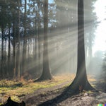 acoustic guitars ambient uplifting background music for videos