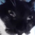 oye gela escuchate esto saturado (copy)