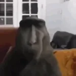 f3dc-a5bd-499e-ac5d-c5f9f0744b2d