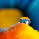 David Get Into Discord