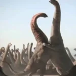 sauropod short call