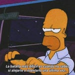 Homer Simpson - I only did that a couple of times