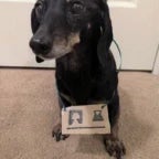 Klä av mig ( Äkta )