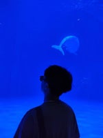 just give me one more day.