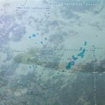 Sifl and Olly Video to Llama School