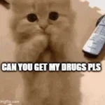 DRUGS PLEASE