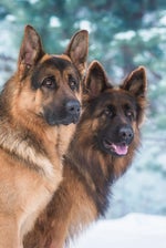 we fell in love in october SECRETT