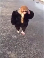 Yeat U Should Know (slowed+reverb)