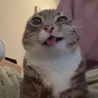 Super Max super bass boosted