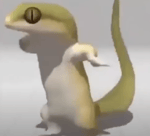 lizard dancing to lady hear me tonight