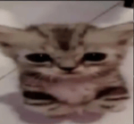 SUPER SMASH BROS BRAWL DRILL REMIX BY SHAE OT