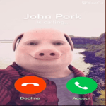 john pork is calling.mp3
