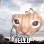 Hello!