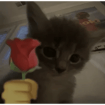 God Rest Ye Merry Gentleman Pentatonix Edit Audio - Sound