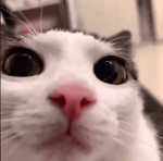 taking a chance cuz i like u alot good part