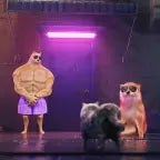 Counting Stars, O-A-I cat