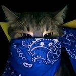 NARRISCH Peppi - Sound