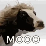 La VACA  - Mala Fe  [Video Oficial]