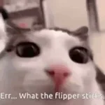 What the Flipper