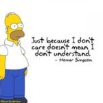 Homer Simpson : The Simpsons I Don’t care