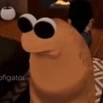 Marcus Pony - Made with Clipchamp