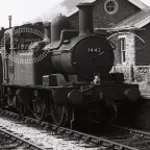 1400 Whistle (RWS Oliver Whistle)