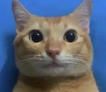 Barry HBO series sad audio