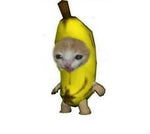 El Maestro de las Mezclas Waldemaro Martinez