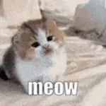 Hummus/Ea Meow